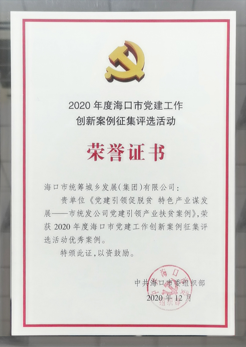 2020年度?？谑悬h建工作創(chuàng)新案例征集活動(dòng)優(yōu)秀案例